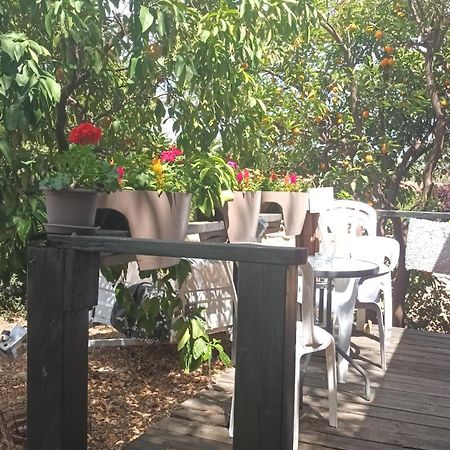 A Fun Holiday In The Galilee Sede Eli'ezer Exterior foto