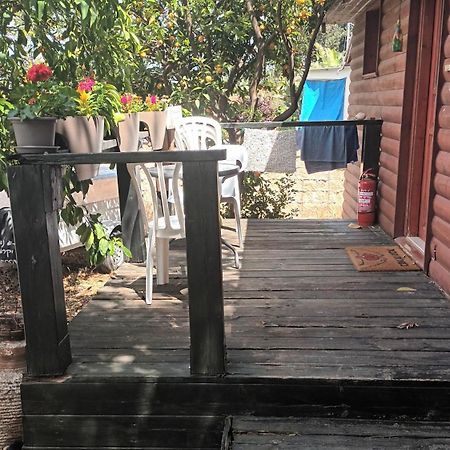 A Fun Holiday In The Galilee Sede Eli'ezer Exterior foto